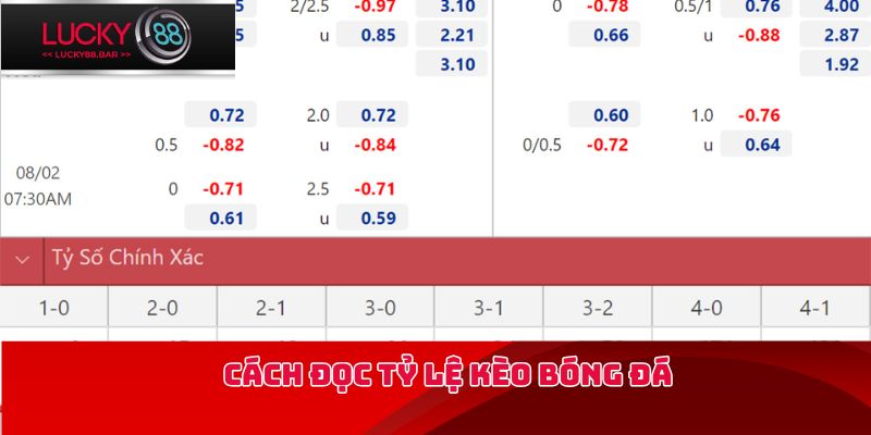 Cách đọc tỷ lệ kèo bóng đá