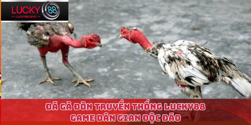 Đá gà đòn truyền thống