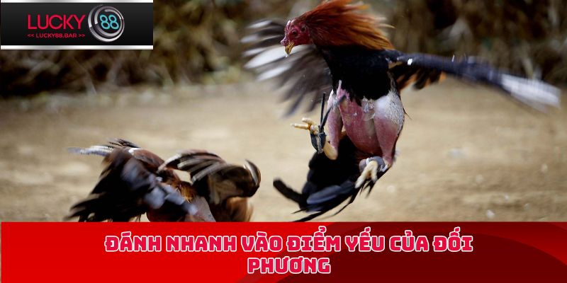 Đánh nhanh vào điểm yếu của đối phương