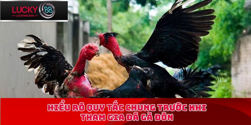 Hiểu rõ quy tắc chung trước khi tham gia đá gà đòn