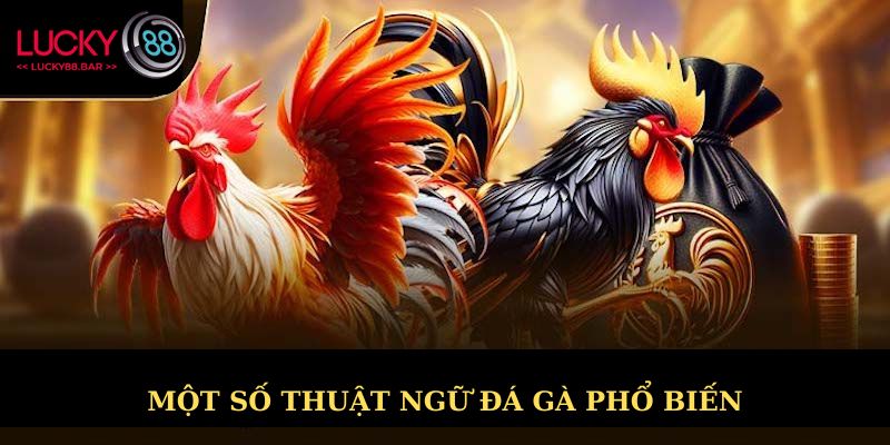 Một số thuật ngữ đá gà phổ biến cần biết