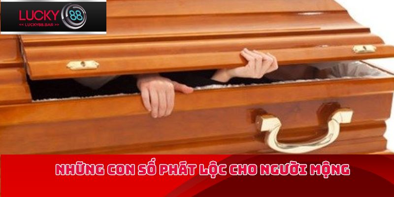 Những con số phát lộc cho người mộng