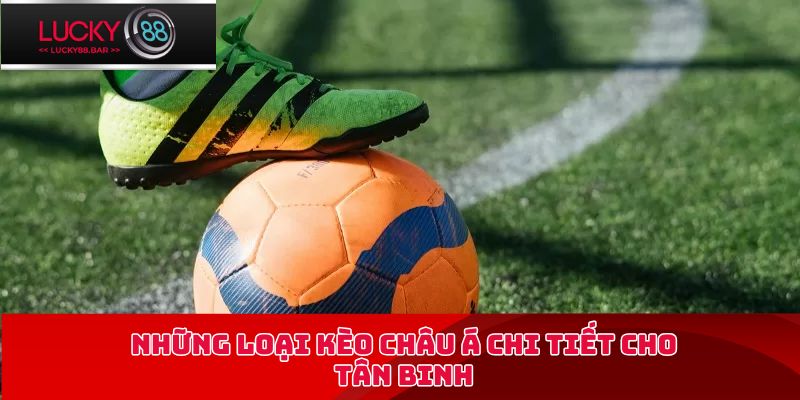 Những loại kèo châu Á chi tiết cho tân binh
