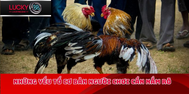 Những yếu tố cơ bản người chơi cần nắm rõ