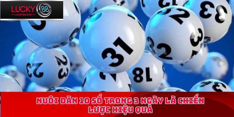 Nuôi dàn 10 số trong 3 ngày là chiến lược hiệu quả
