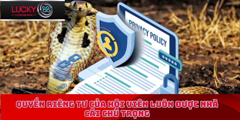 Quyền riêng tư của hội viên luôn được nhà cái chú trọng