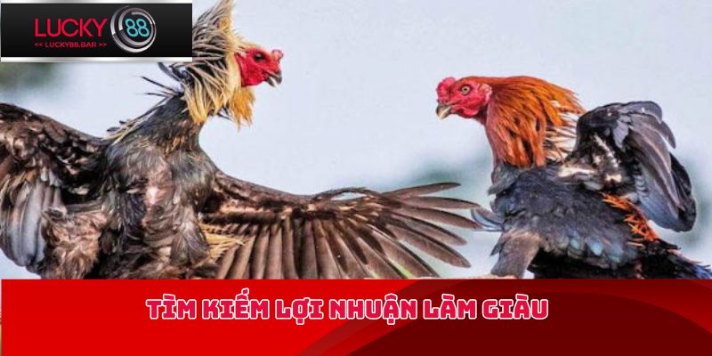 Tìm kiếm lợi nhuận làm giàu